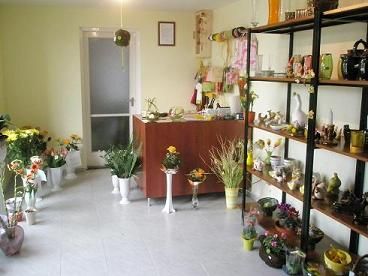 kep_739.jpg