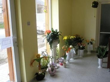 kep_740.jpg